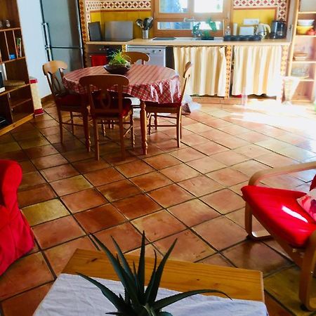 Rez De Jardin De Chalet Bois , Calme Et Verdure ! Saint-Martin-Vésubie المظهر الخارجي الصورة